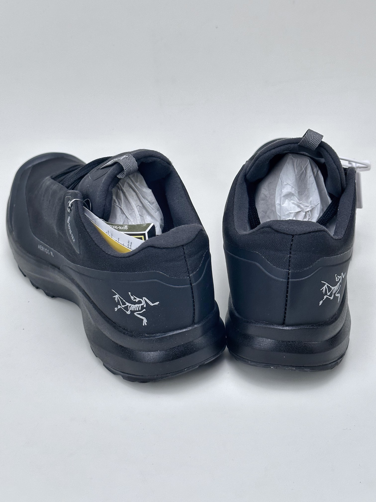 300 Arakys始祖鸟 Aerios FI Gore-Tex 多功能徒步户外攀爬登山鞋