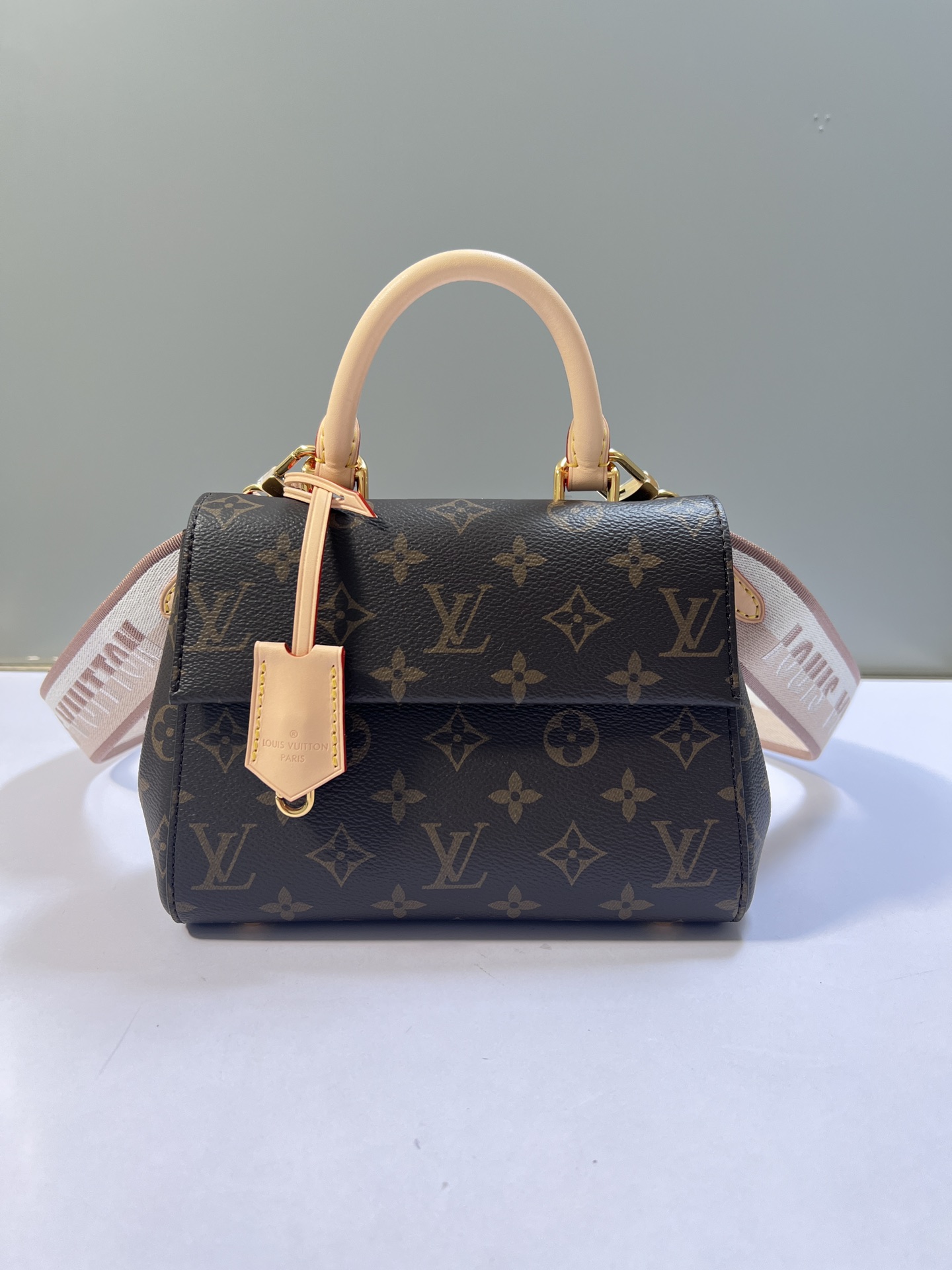 Louis Vuitton LV Cluny Bags Handbags Mini M46055