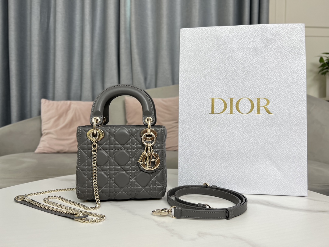 Dior Bags Handbags Gold Grey Embroidery Sheepskin Lady Chains