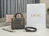 Dior Bags Handbags Gold Grey Embroidery Sheepskin Lady Chains