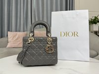 Dior Bags Handbags Grey Embroidery Sheepskin Lady