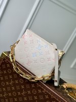 Louis Vuitton LV Coussin Bags Handbags Top Quality Designer Replica
 Sheepskin Chains