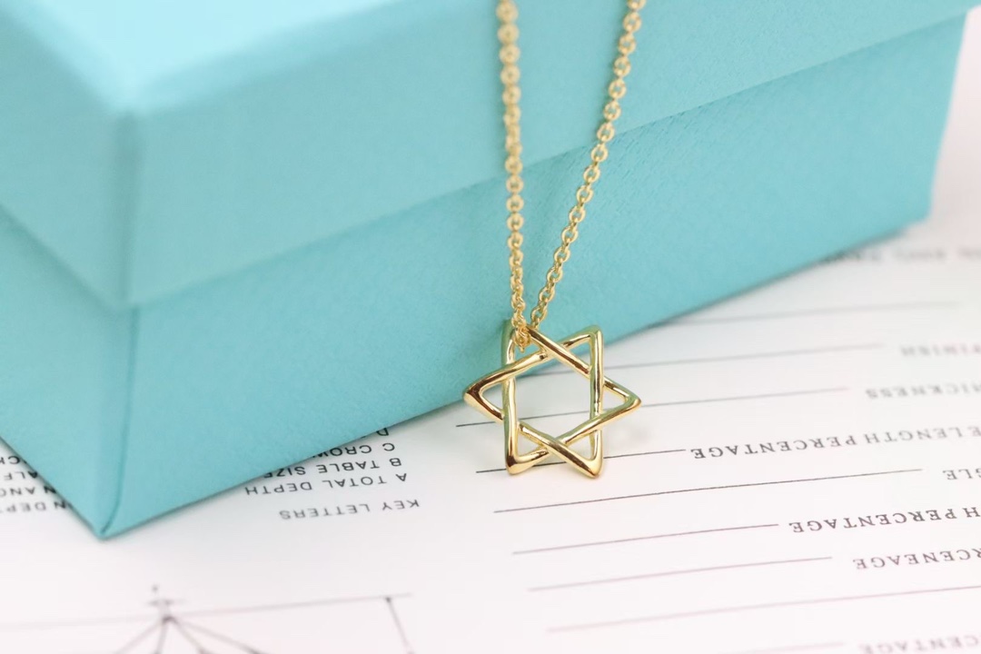 Tiffany & Co. Tiffany&Co. 六芒星 锁骨项链 925银