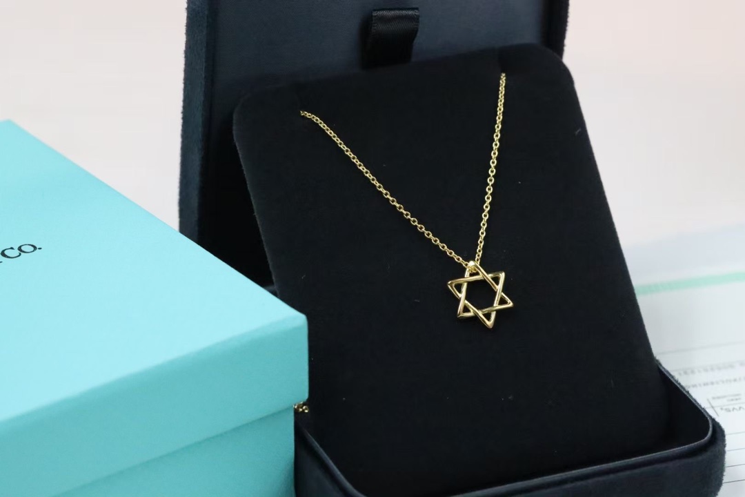 Tiffany & Co. Tiffany&Co. 六芒星 锁骨项链 925银