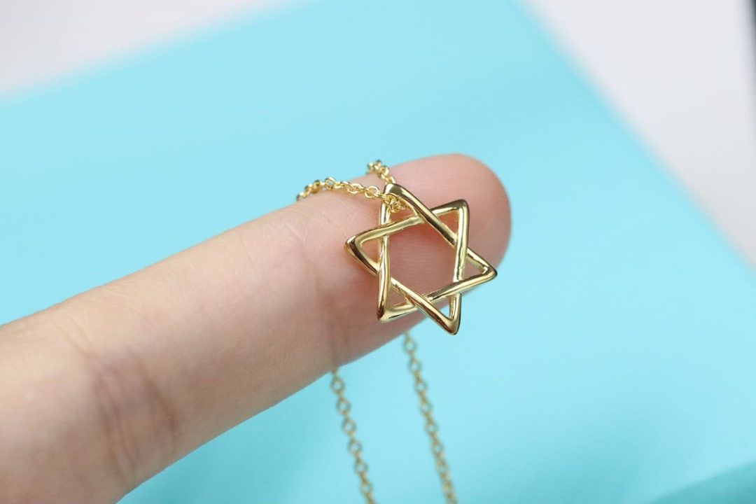 Tiffany & Co. Tiffany&Co. 六芒星 锁骨项链 925银