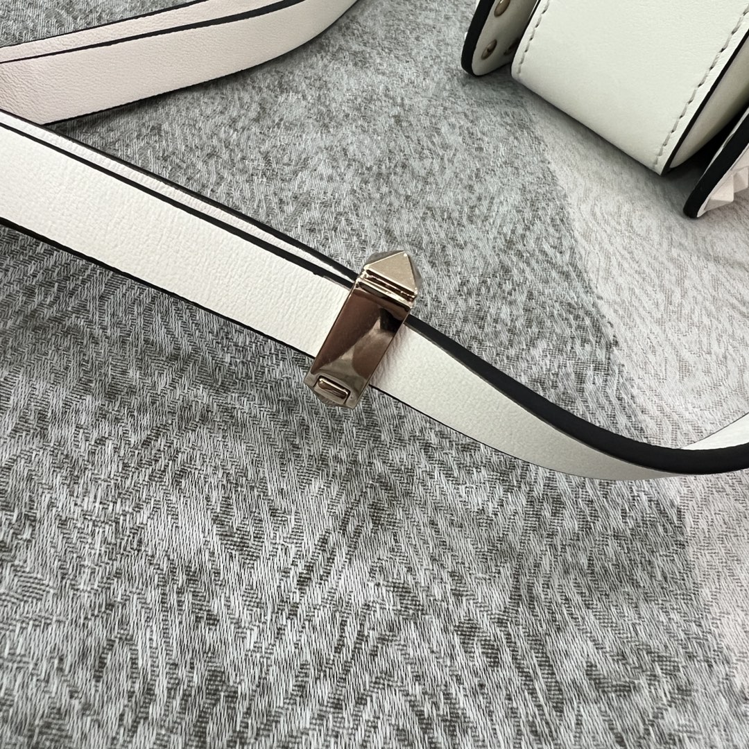 Celine Luxury Handbag Collection 9