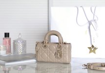 Dior Lady Bags Handbags Apricot Color Gold Canvas Chains