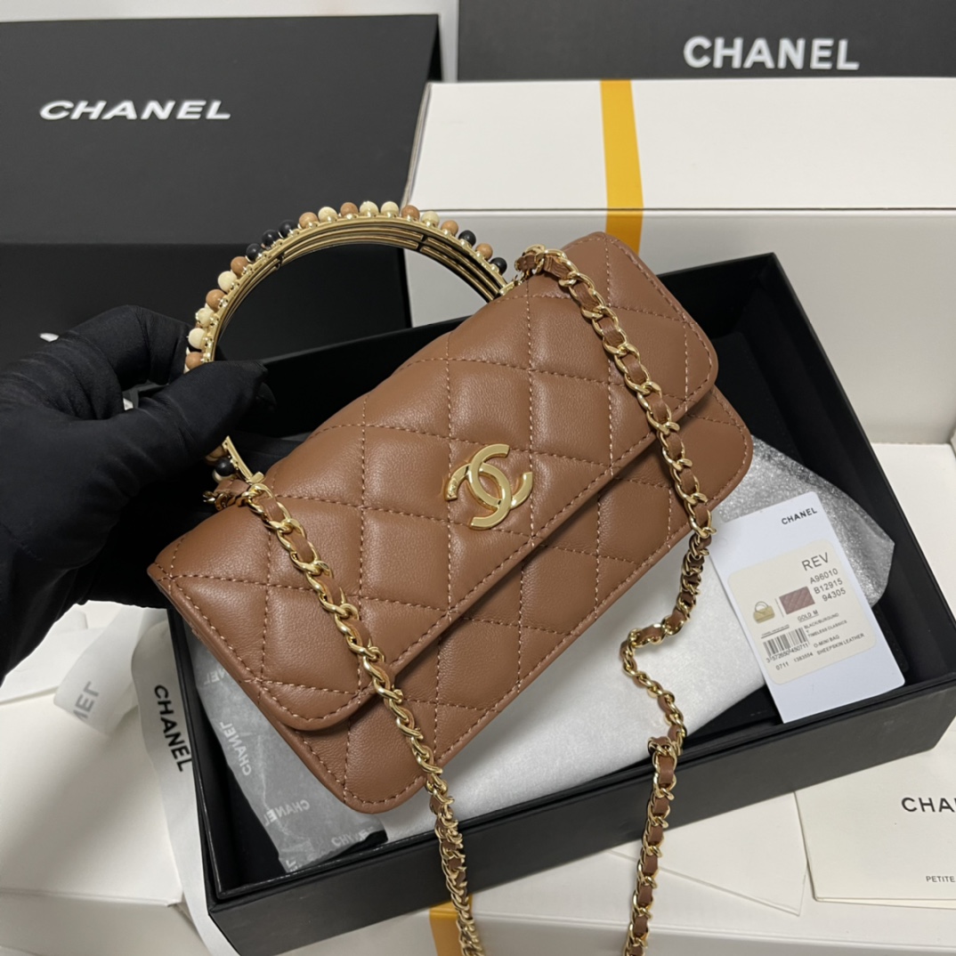 Chanel Aaa
 Sacs Mini Le Brun Couleur chocolat Serti de diamants