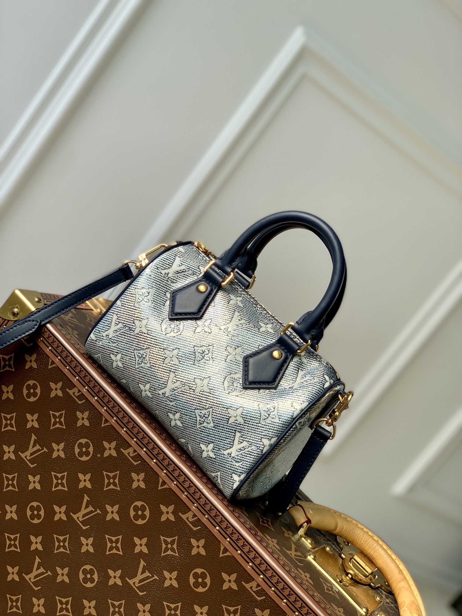 Louis Vuitton LV Speedy Bags Handbags Canvas Cotton M23069