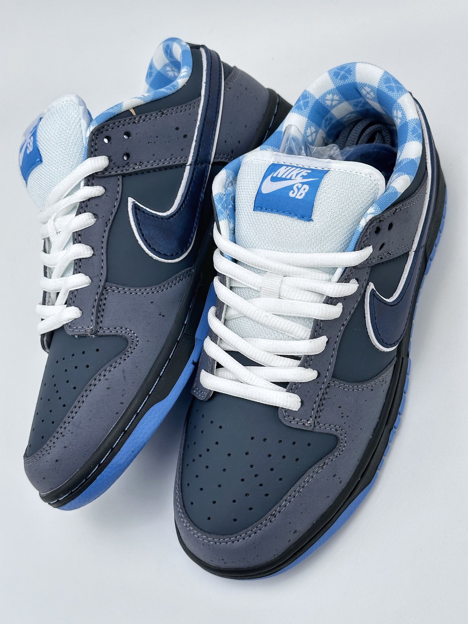 NIKE SB Dunk Low Blue Lobster 313170-342