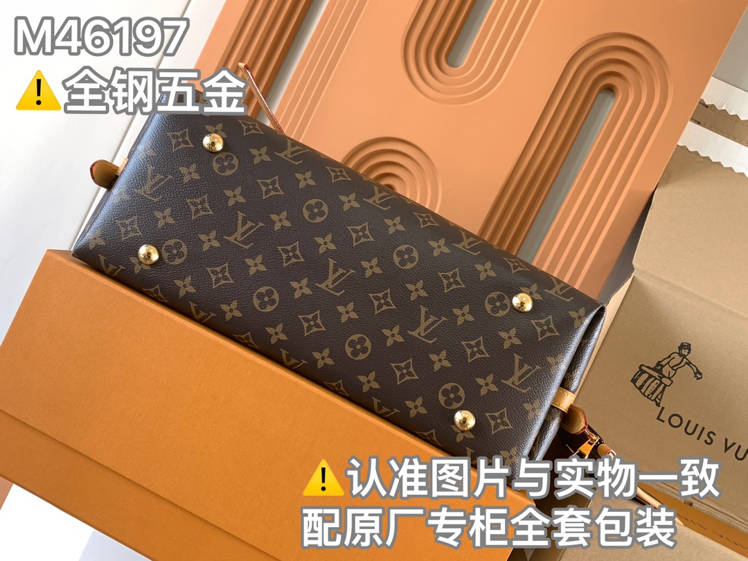 Louis Vuitton CarryAll 中号手袋