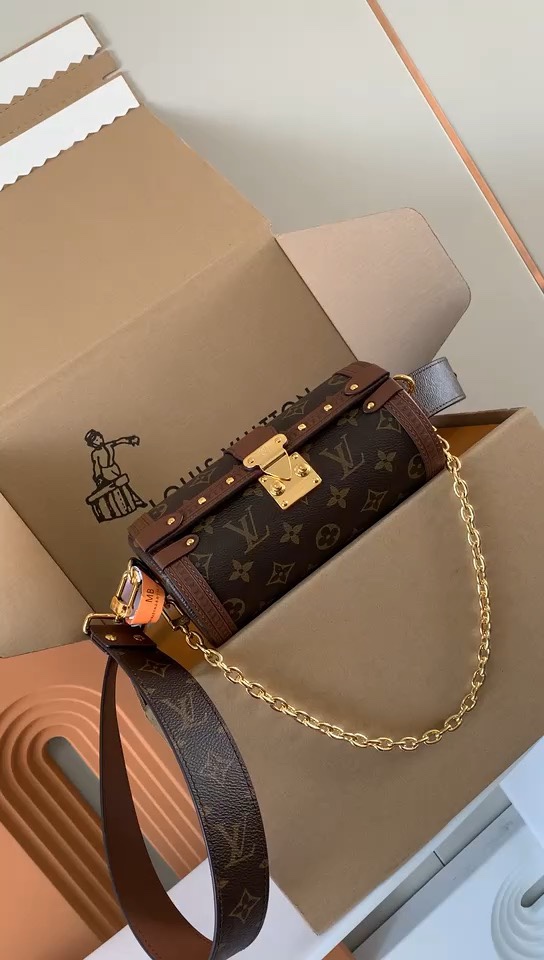Louis Vuitton LV Papillon Trunk Bags Handbags M57835
