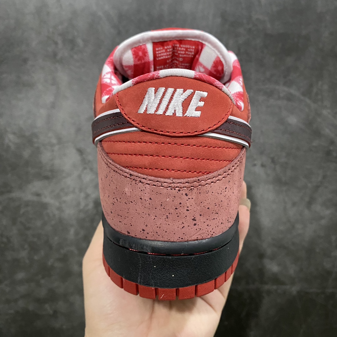 Top Pure Original Concepts x NK SB Dunk Low ”Red Lobster” 313170-661