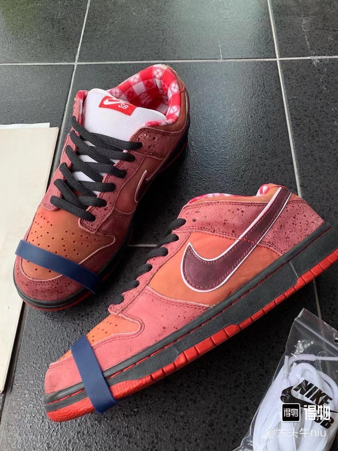 ? Nike Dunk SB Low Red Lobster 红龙虾? 低帮板鞋砖红配色?