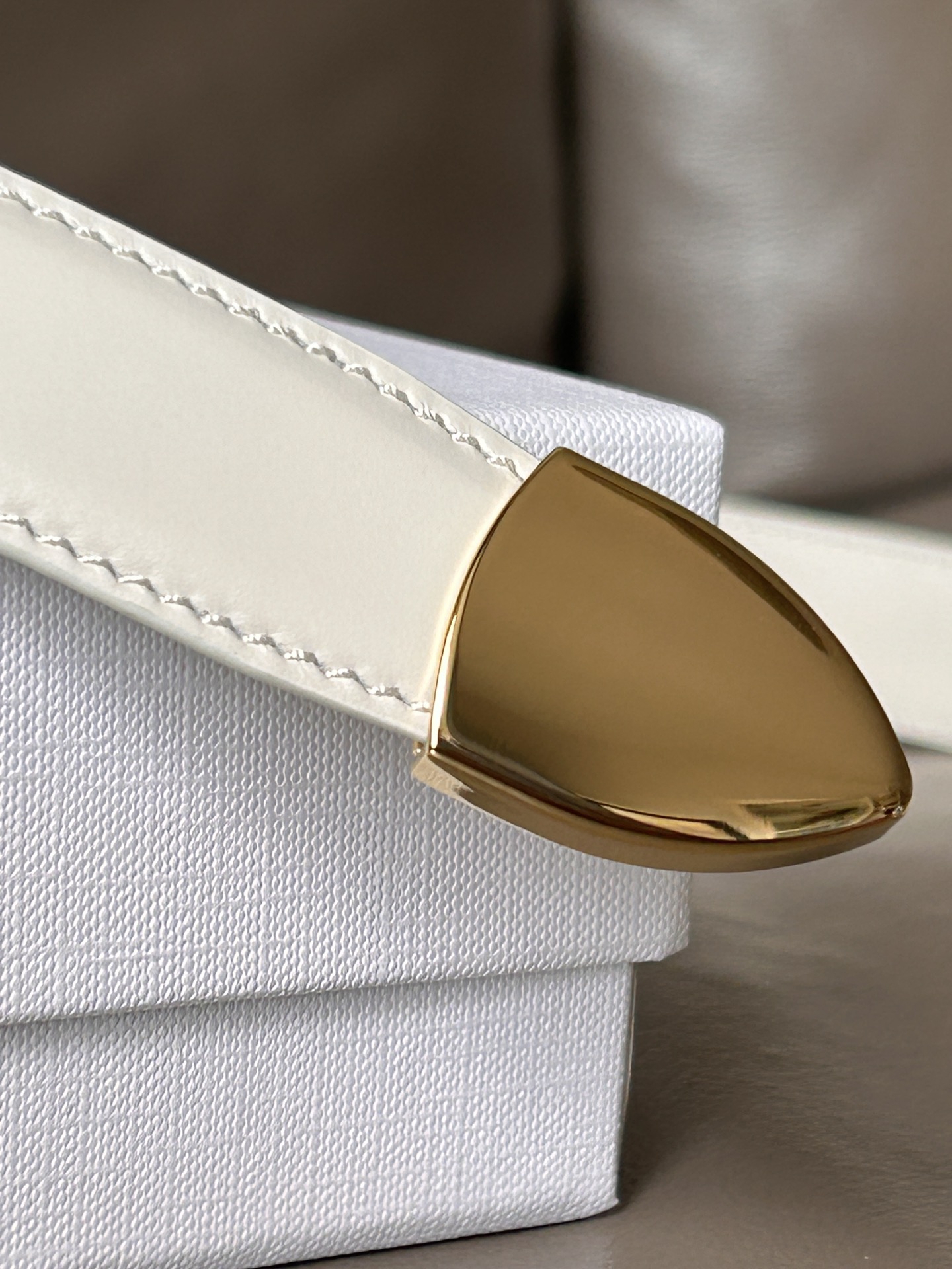 Celine Women’s Double-Sided Calf Skin Belt with Metal Rings and Tip - 图片 5