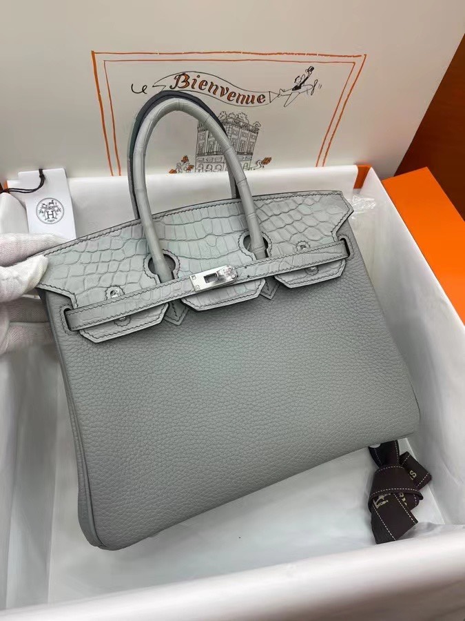Hermes Birkin Bags Handbags Grey Silver Hardware Crocodile Leather Silk