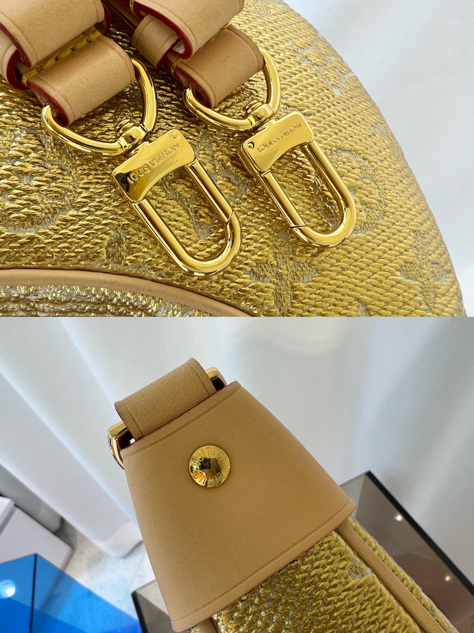 Louis Vuitton Luxury Handbag Collection 6