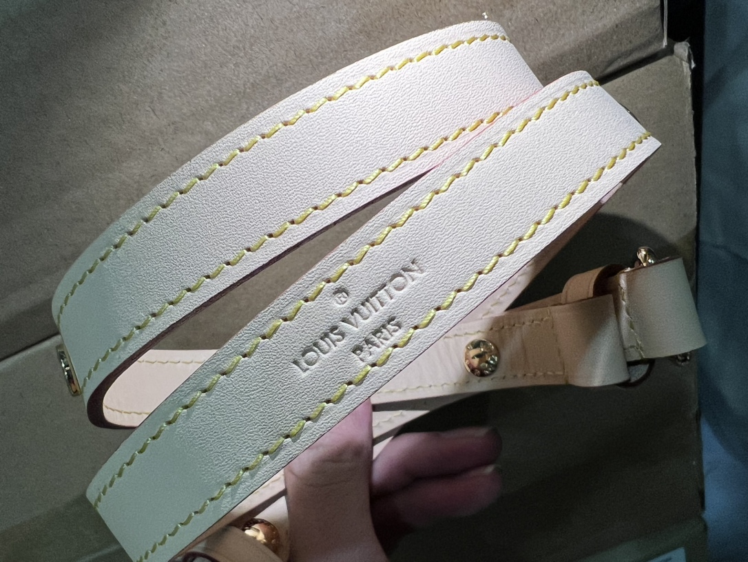Louis Vuitton Luxury Handbag Collection 7