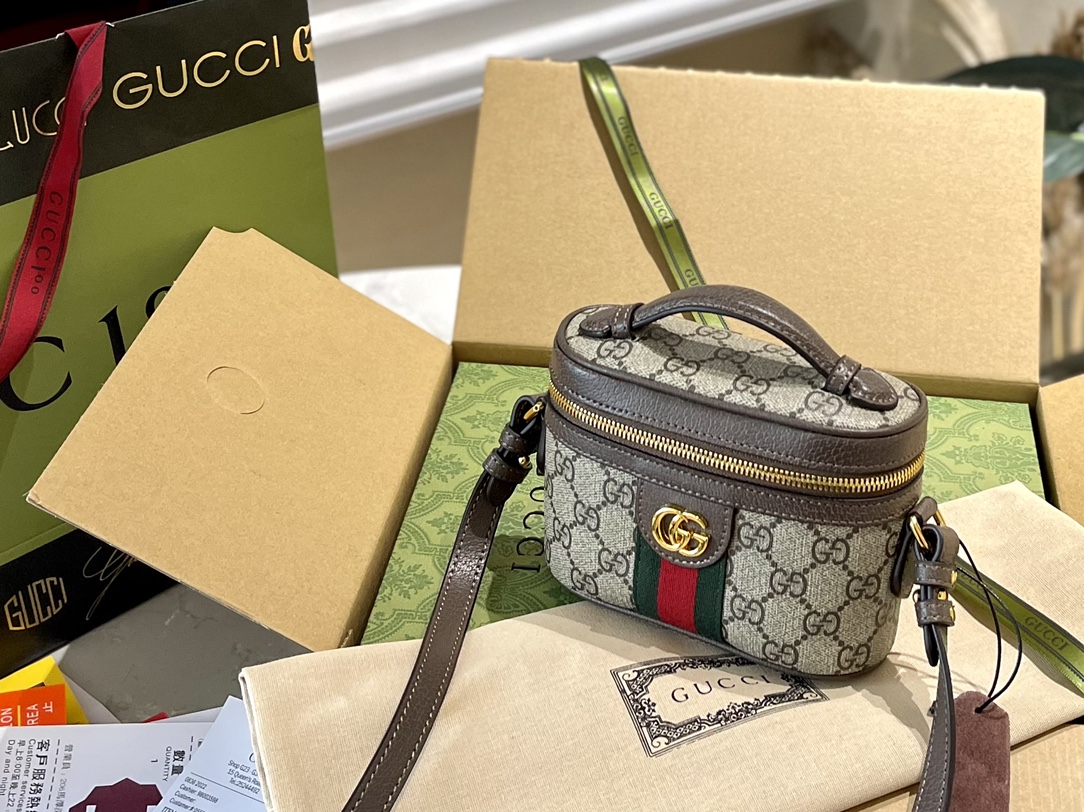 Gucci Ophidia Mini