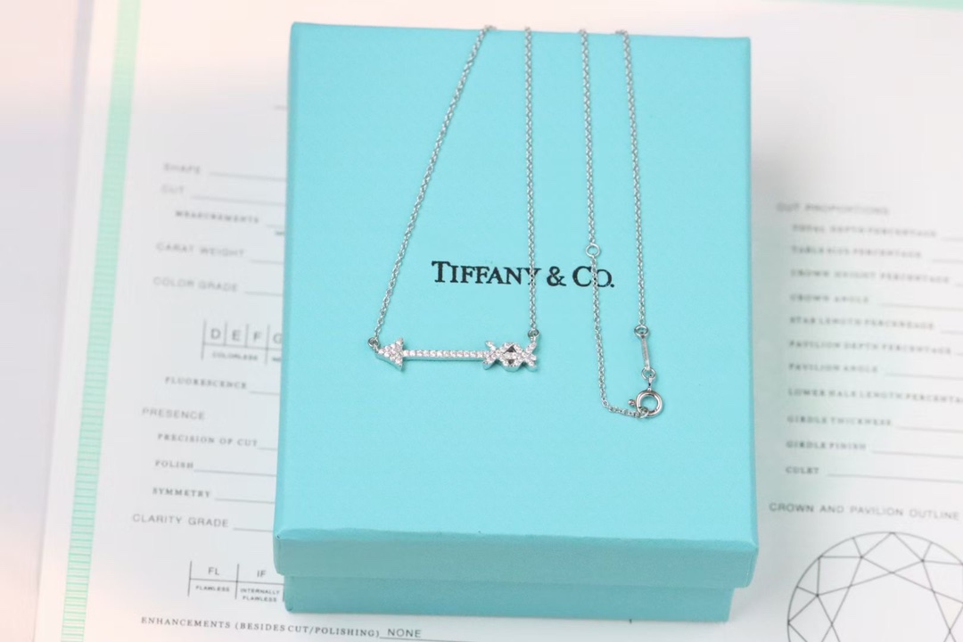 Tiffany & Co. Tiffany&Co. 爱神之箭 锁骨项链 925银