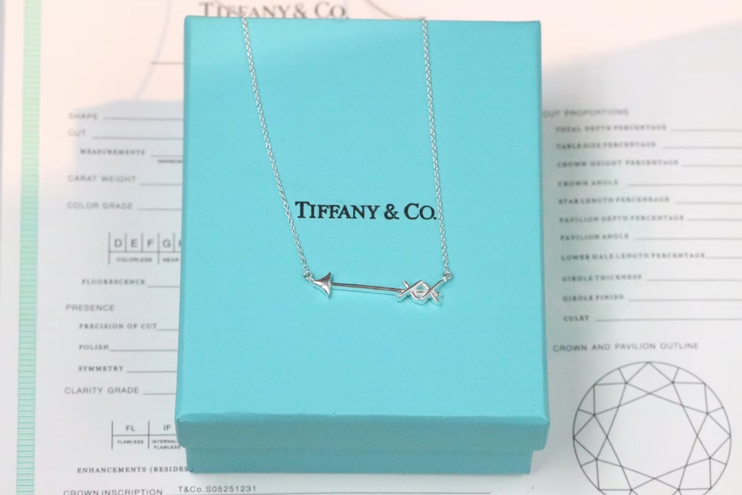 Tiffany & Co. Tiffany&Co. 爱‮之神‬箭 锁骨项链 925银