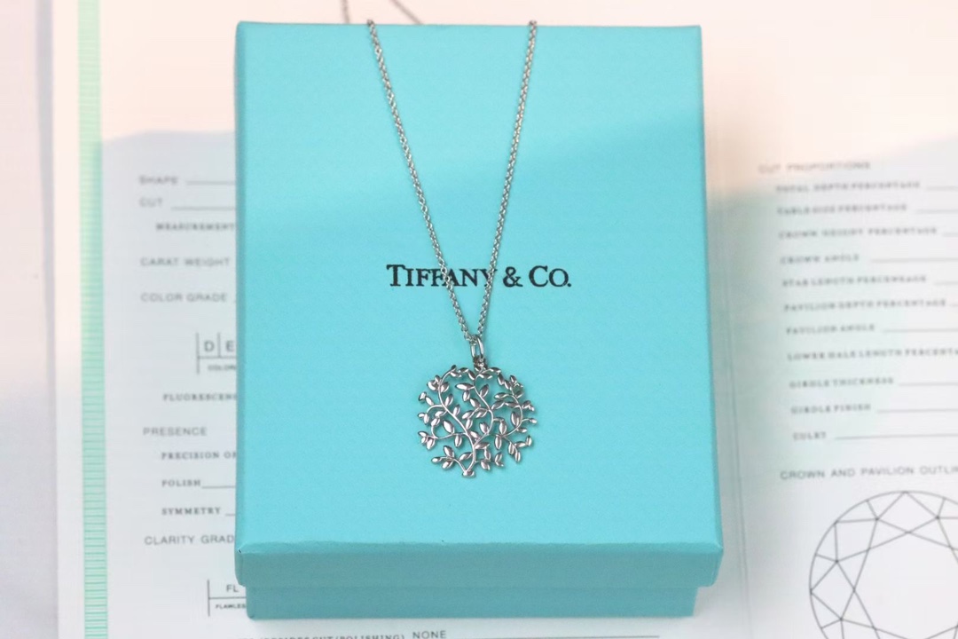 Tiffany & Co. Tiffany&Co. 藤蔓橄榄叶 锁‮项骨‬链 925银