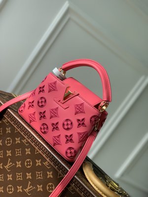 Louis Vuitton LV Capucines Bags Handbags Red Embroidery Cowhide Fall Collection Mini M22863