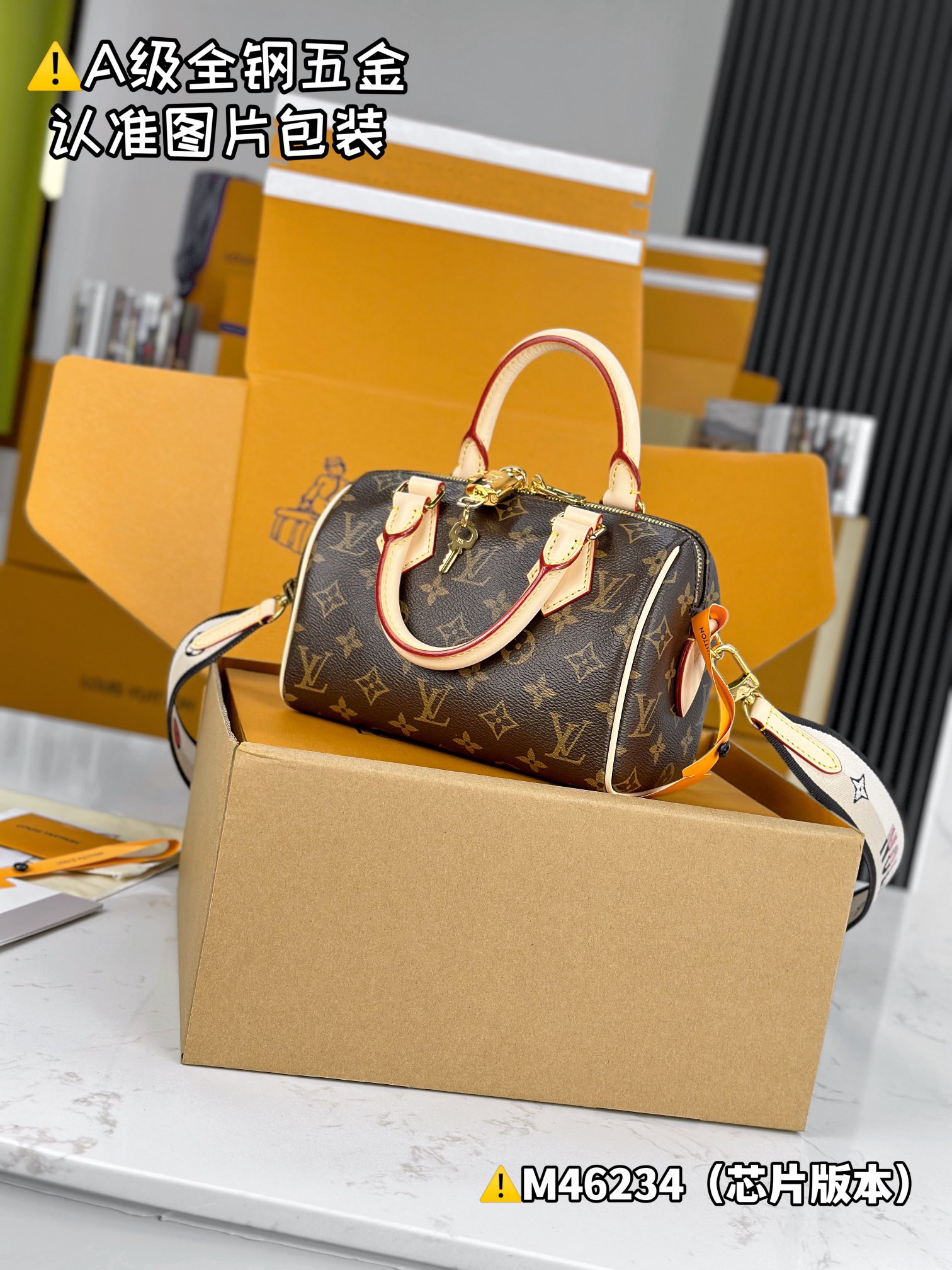 Louis Vuitton everyday