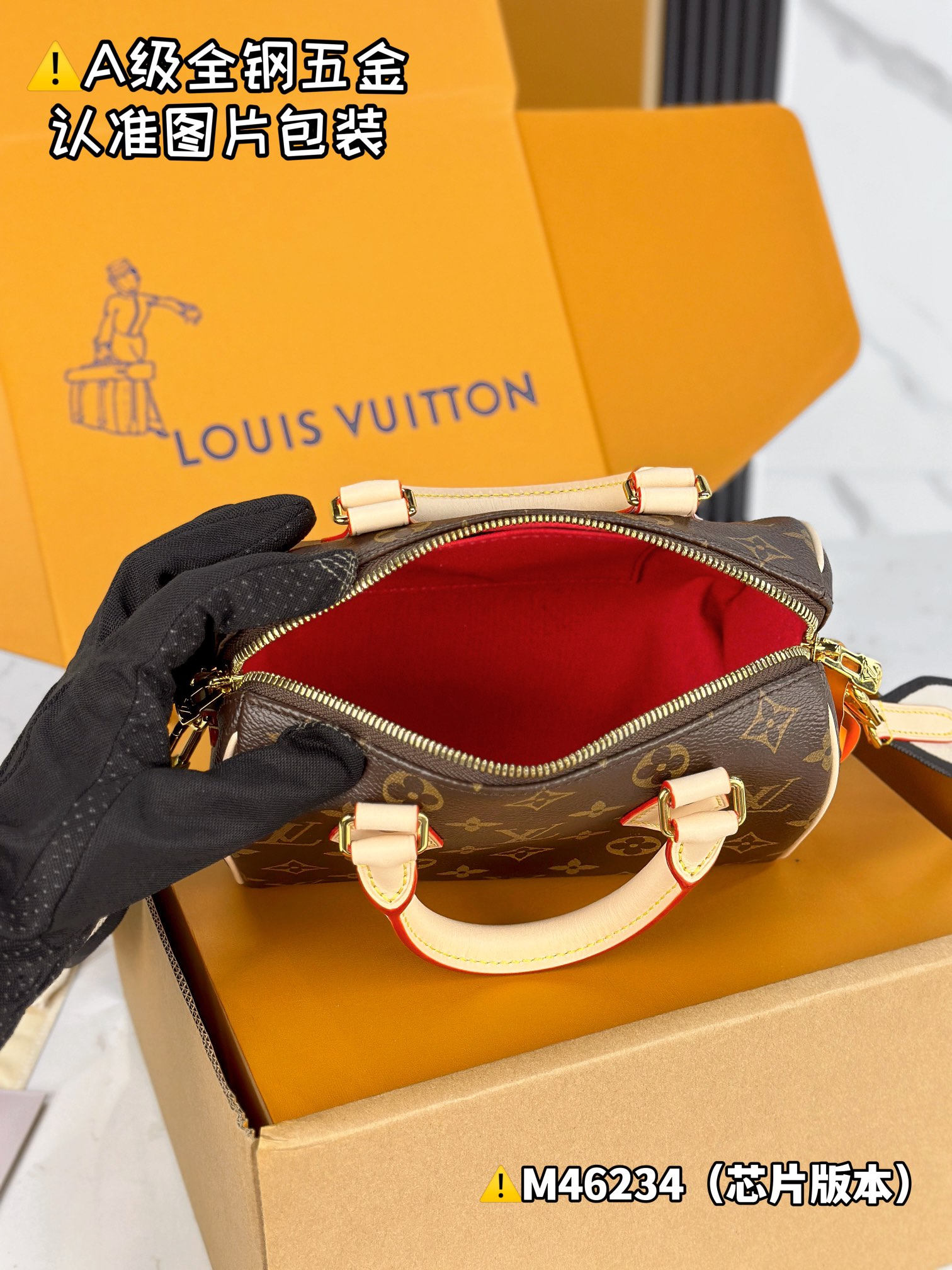 Louis Vuitton everyday