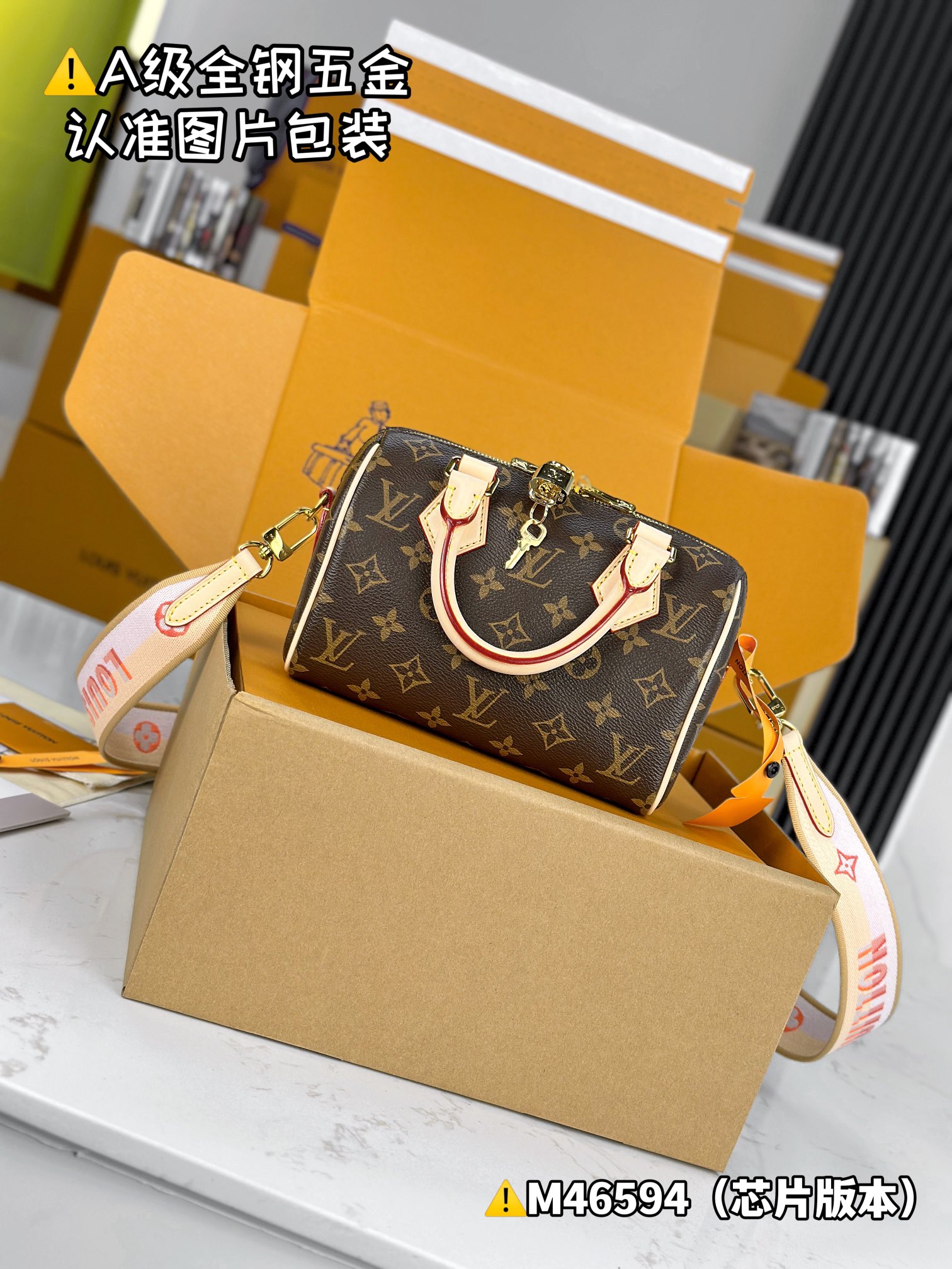 Louis Vuitton everyday
