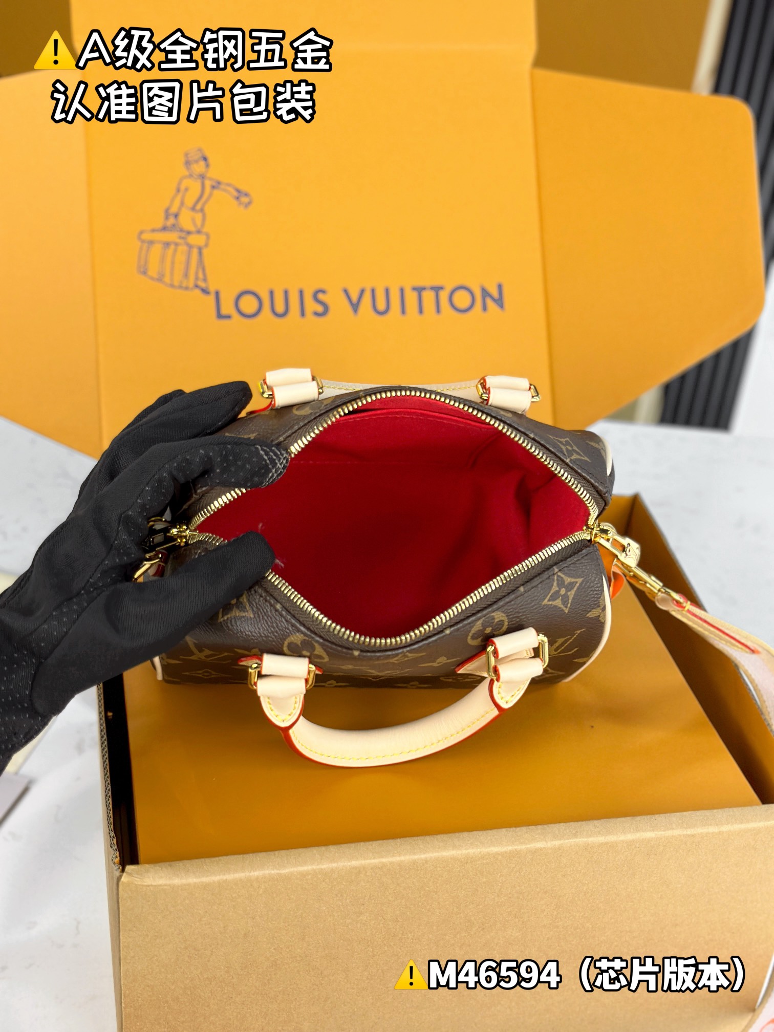 Louis Vuitton everyday