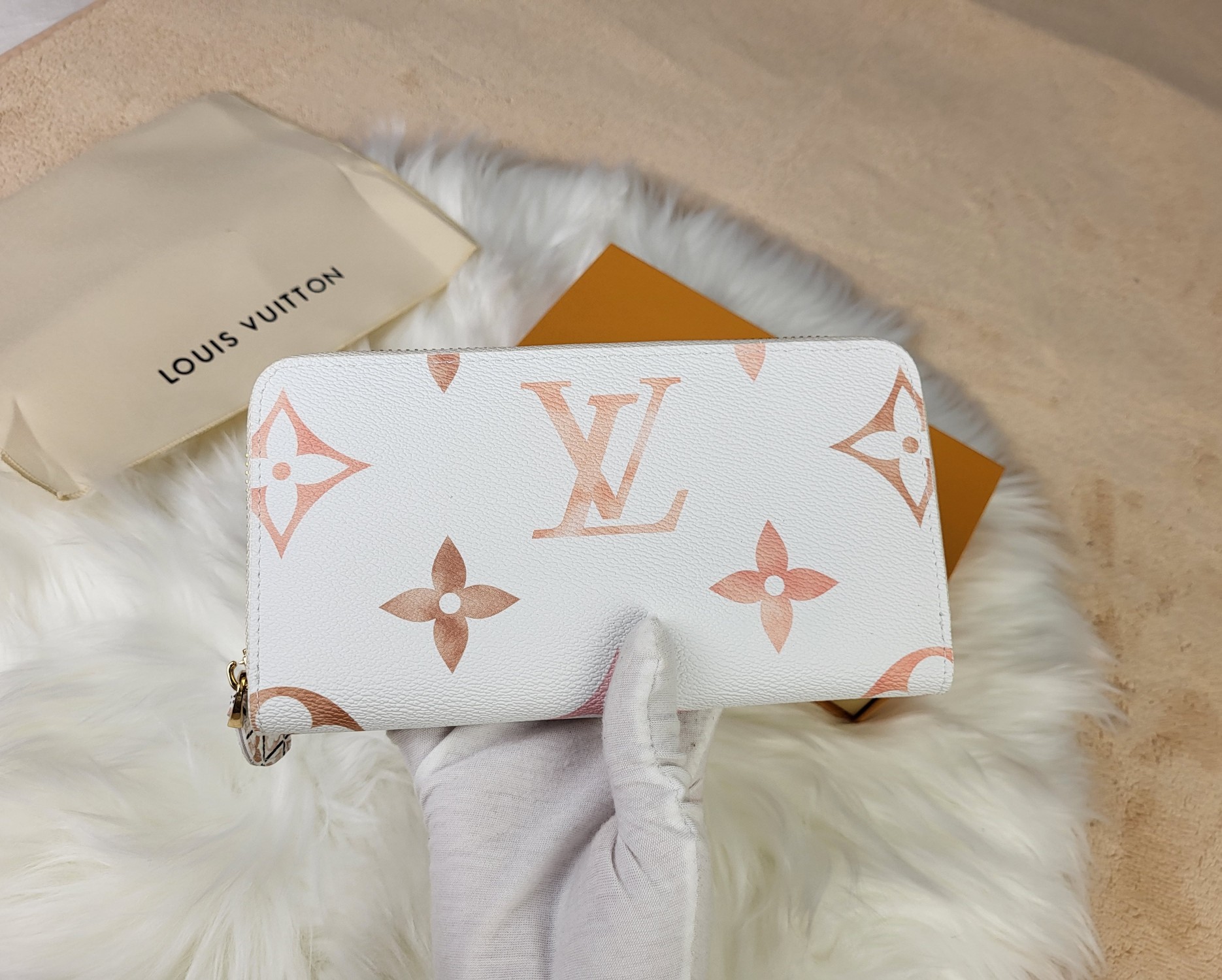 Wallet open with cards and money