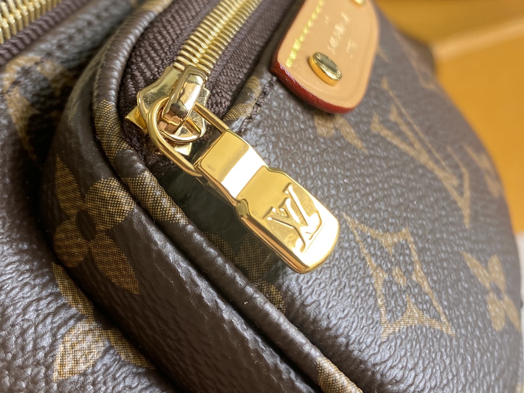 Louis Vuitton Haute Couture Classic Luxury Handbag Shoulder Crossbody 6