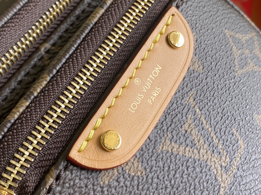 Louis Vuitton Haute Couture Classic Luxury Handbag Shoulder Crossbody 5