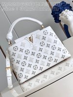 Louis Vuitton LV Capucines Bags Handbags White Embroidery Cowhide Fall Collection M22863