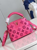 Louis Vuitton LV Capucines Bags Handbags Best Site For Replica
 Red Embroidery Cowhide Fall Collection Mini M22863