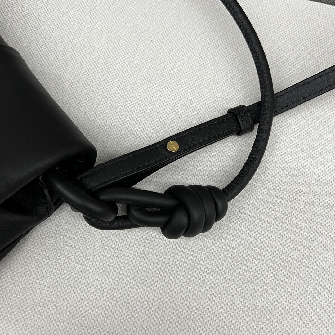 Lw新款闪亮纳帕牛皮革Paseo包做工精致廓形简洁优雅独特柔软的皱褶结构带来了柔软和超轻盈的构造这款手袋