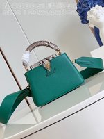 Louis Vuitton LV Capucines Bags Handbags Green Taurillon Snake Skin Mini M48865