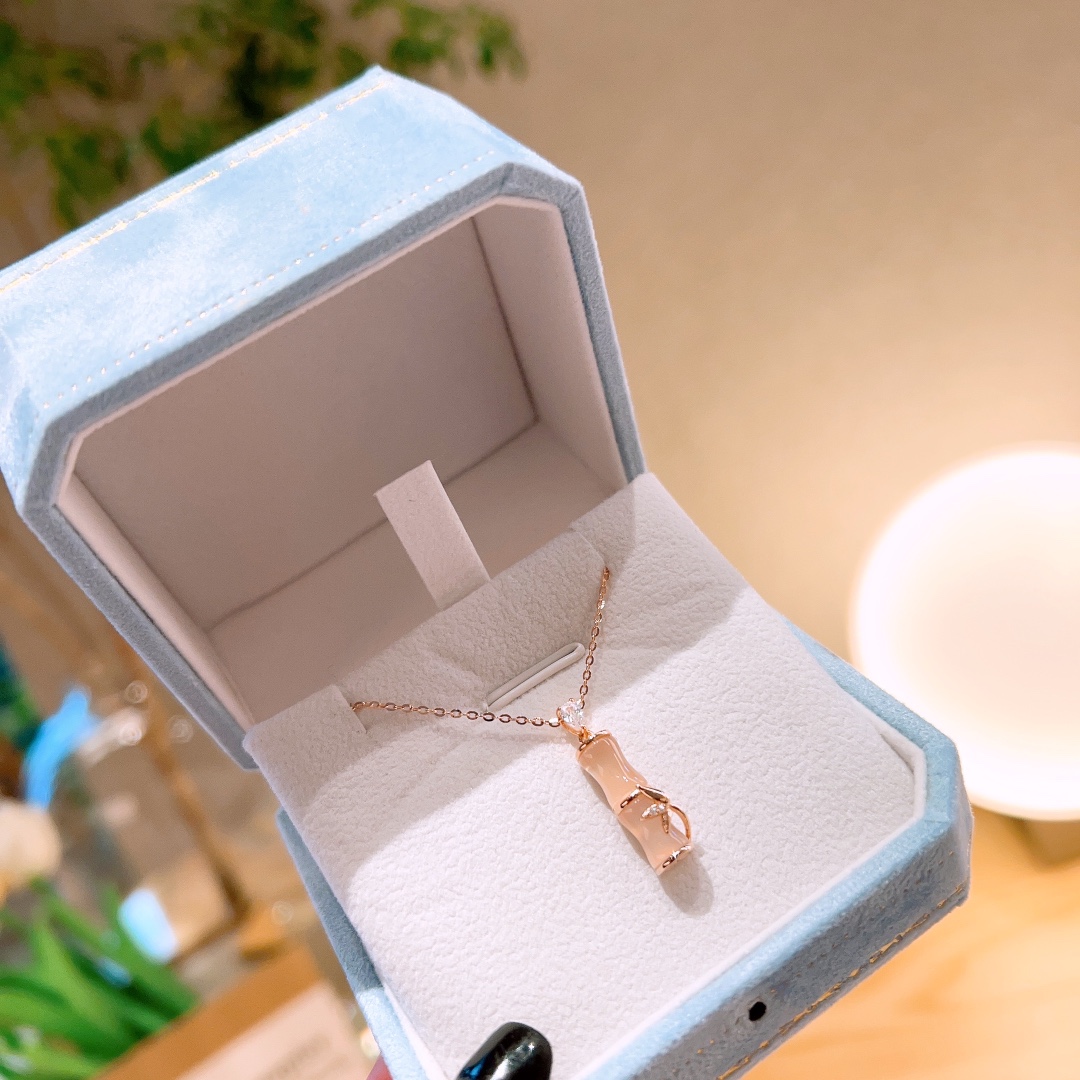 S925 Sterling Silver Necklace Premium Housewarming Gold