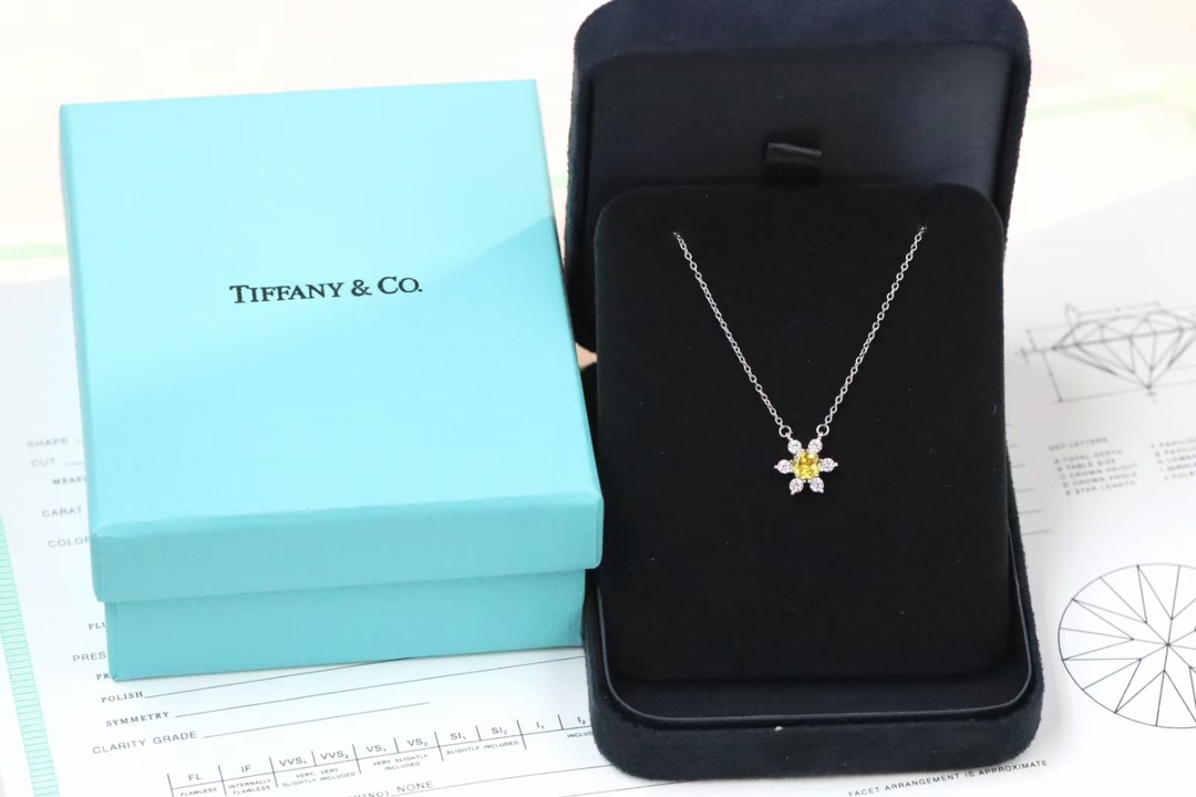Tiffany & Co. Tiffany&Co. 黄钻小花锁骨项链 925银