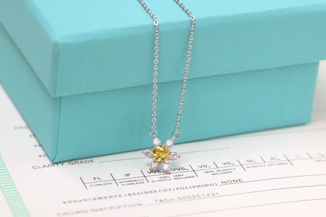 Tiffany & Co. Tiffany&Co. 黄钻小花锁骨项链 925银