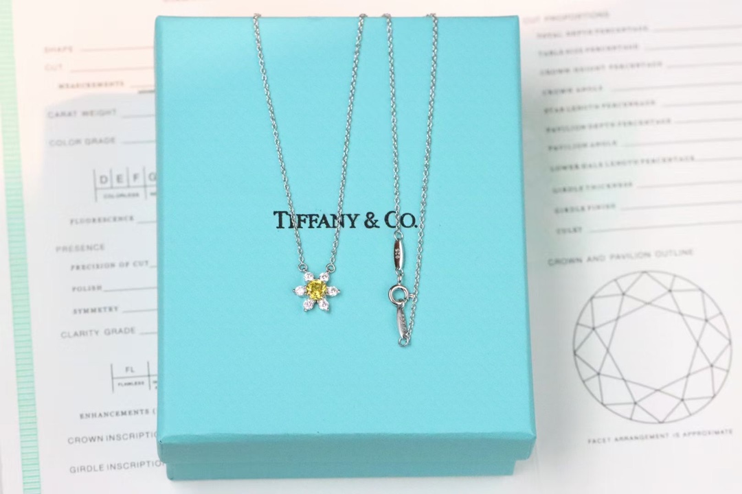 Tiffany & Co. Tiffany&Co. 黄钻小花锁骨项链 925银