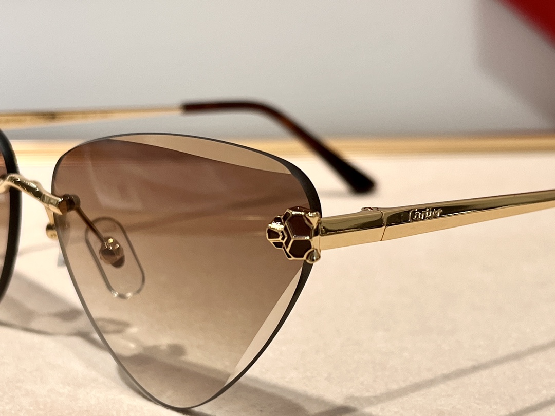  钻石切割工艺 💎经典豹子头
Cartier金灿灿镀金
CT0399S
size：62口15-145✔️