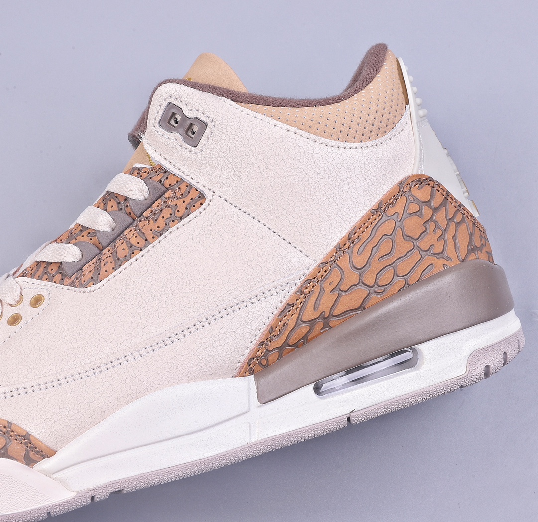 5A Air Jordan AJ3 Retro ”Palomino” Mocha CT8532-102