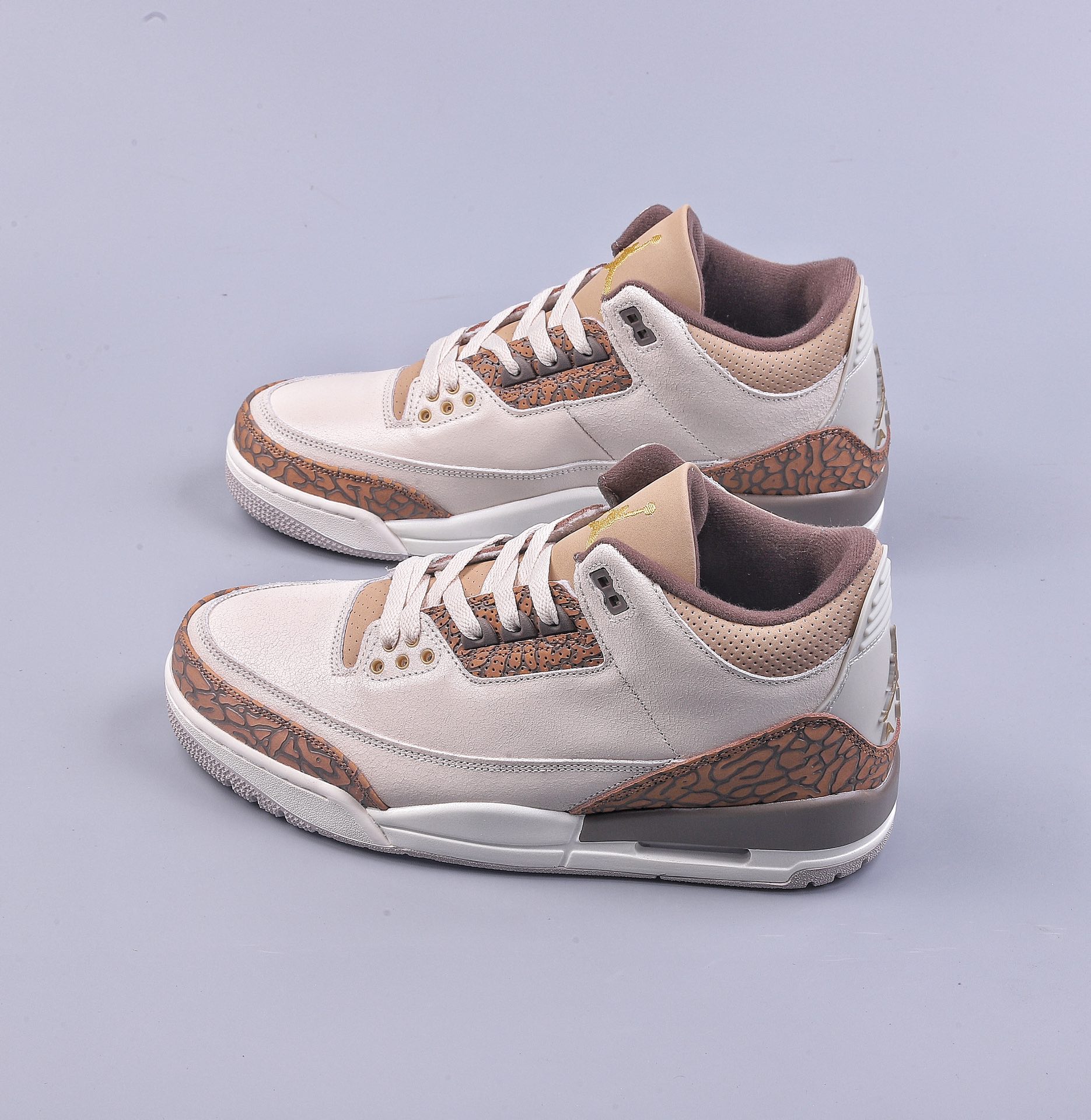 5A Air Jordan AJ3 Retro ”Palomino” Mocha CT8532-102