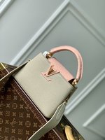 Louis Vuitton LV Capucines Bags Handbags Taurillon Ostrich Leather Mini M81409