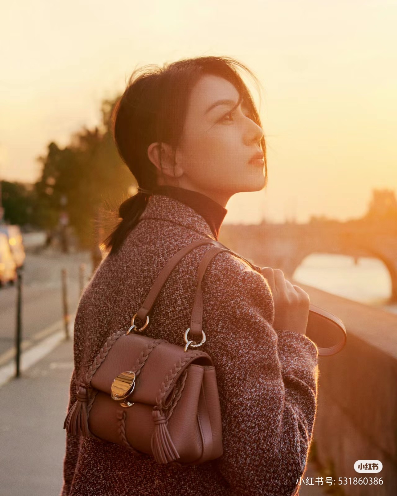 Chloé golden brown 223