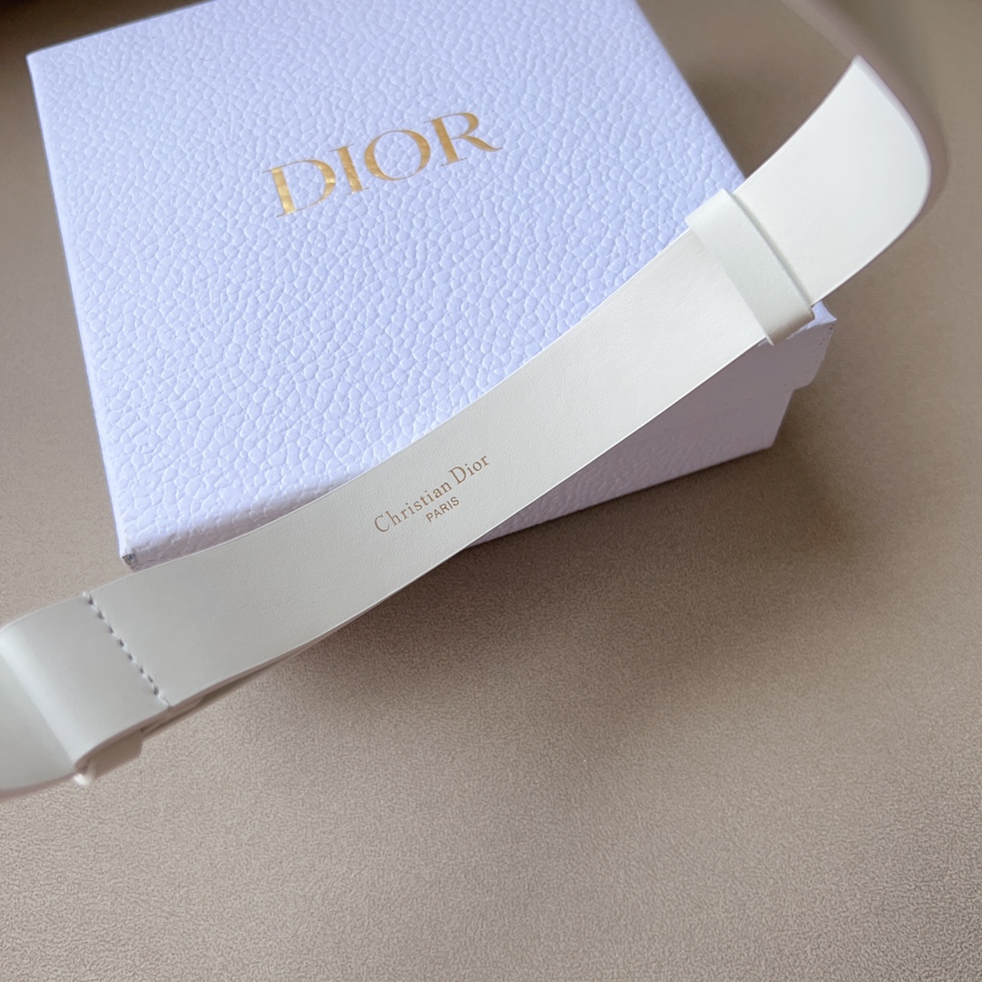 dior23MontaigneCD腰