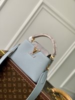Louis Vuitton LV Capucines Bags Handbags Fashion Designer
 Blue Calfskin Cowhide Mini M22876