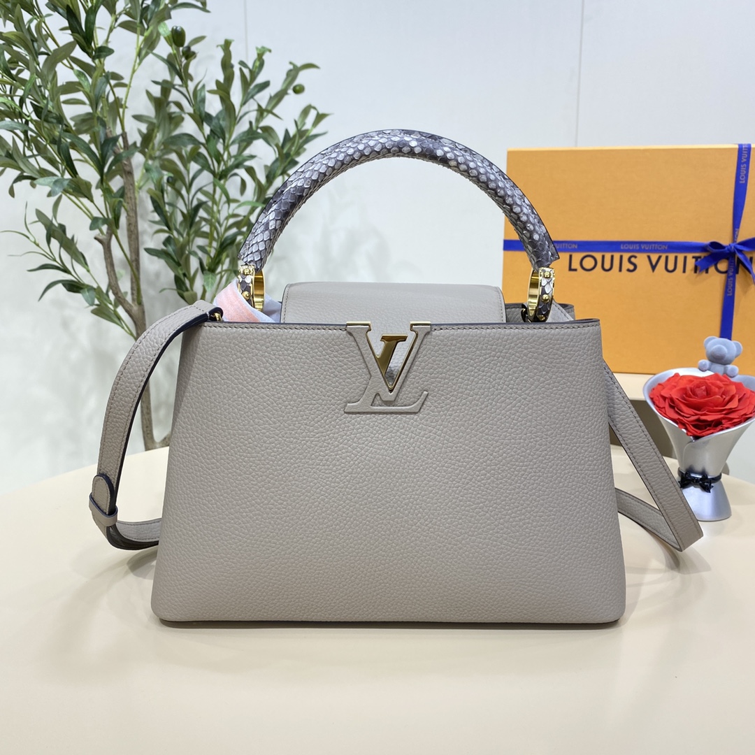 루이비통(버드케이지) 110122 가방 Louis Vuitton Bag